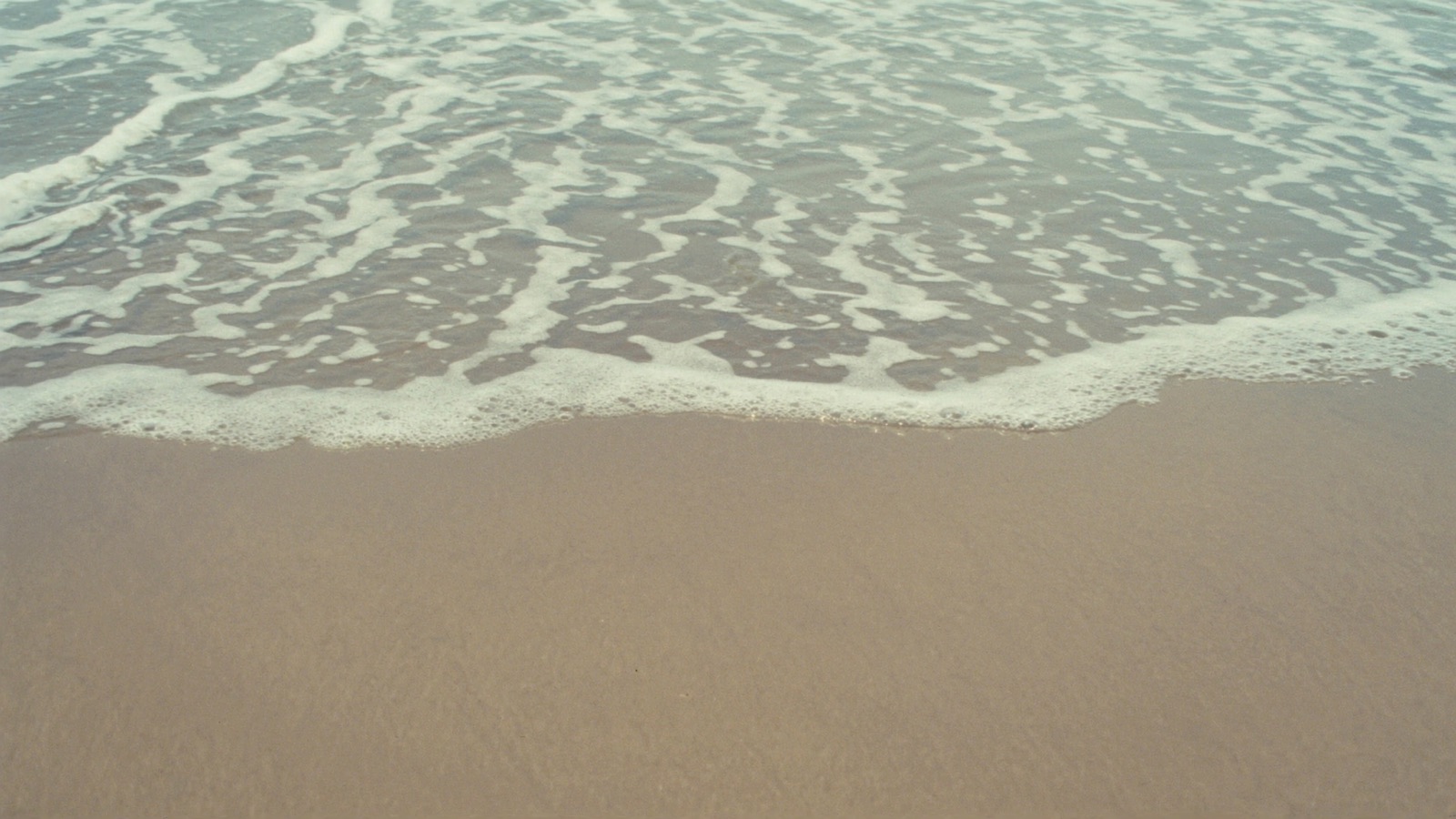 Ocean foam over wet sand